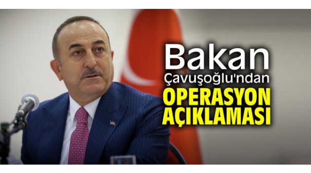 Bakan Çavuşoğlu'ndan operasyon açıklaması 