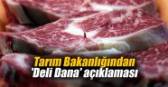 Tarım Bakanlığından 'Deli Dana' açıklaması