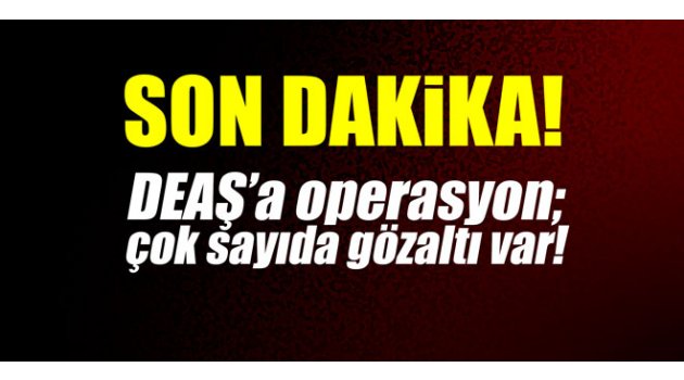 Son dakika! DEAŞ'a operasyon! Çok sayıda gözaltı var! 